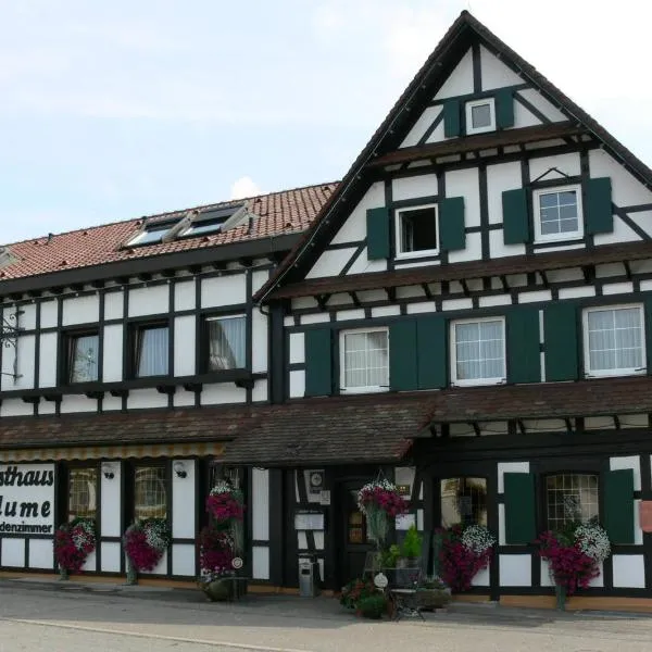 Hotel Landgasthof Blume โรงแรมในLichtenau