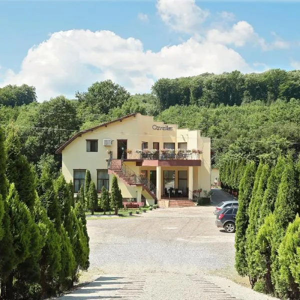 Pensiunea Cavaler, Hotel in Băile Felix
