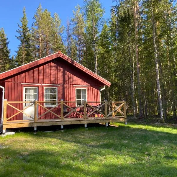 IGMA Lodge, hotel v destinaci Borlänge