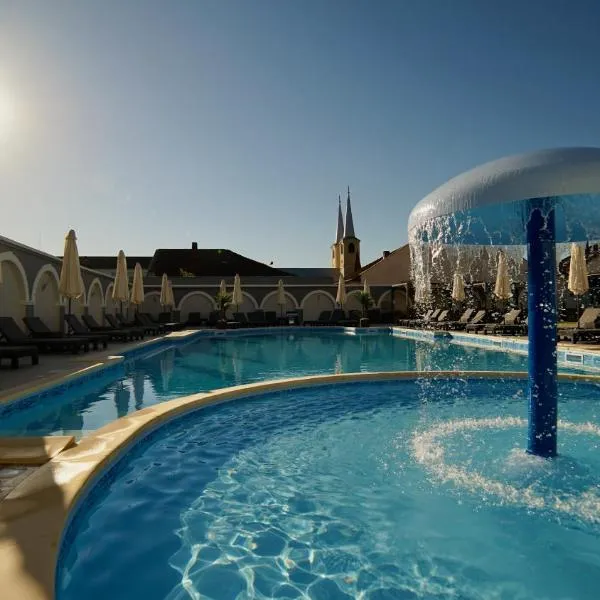 Astoria Hotel & SPA, hotel v destinaci Hunedoara