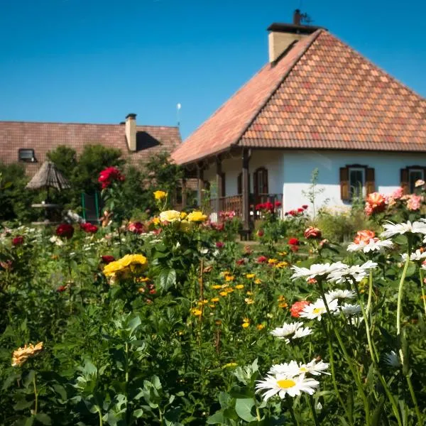 Vesela Sadyba, hotel in Dykanʼka