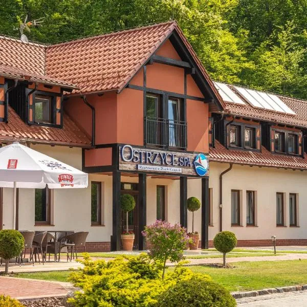 Ostrzyce Spa, hotel in Kamela