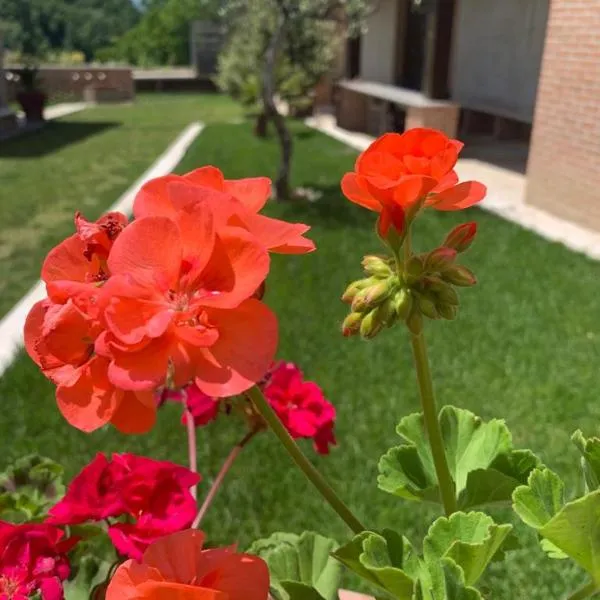 La collina su Ascoli, hotel v destinaci Ascoli Piceno