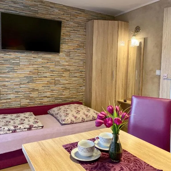 Klinkierowa Rezydencja Gniezno, hotel v destinaci Hnězdno