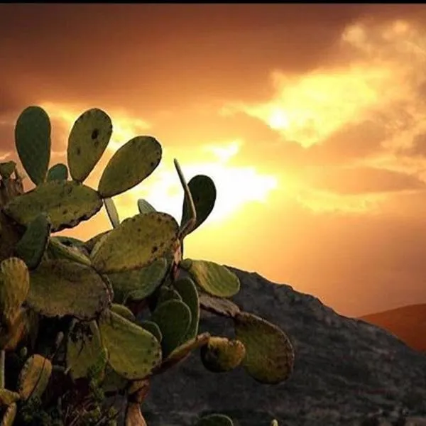 Prickly Pear House, hotel a Plaka Milou