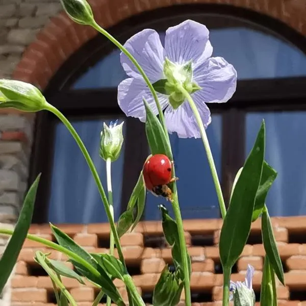Agriturismo Mondo, hotel v destinaci Bubbio