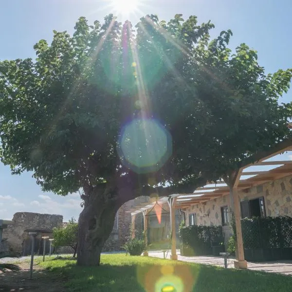 B&B Il Gelso Rooms, hotel in Terme Vigliatore
