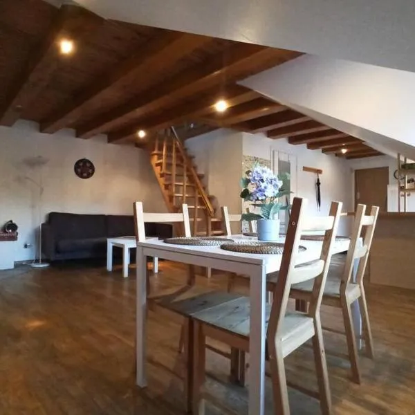 PRIVATE FREE SAUNA & 4 bedrooms Old Town Rooftop Apartment, Hotel in Vilnius