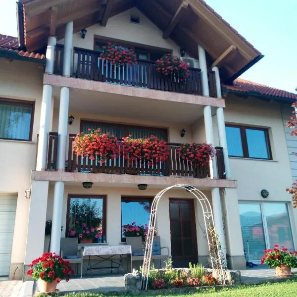 Dolenjska vila, hotel en Žužemberk