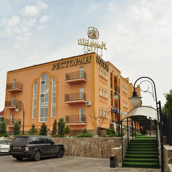 Premier Hotel Shafran, hotel in Stetsʼkivka