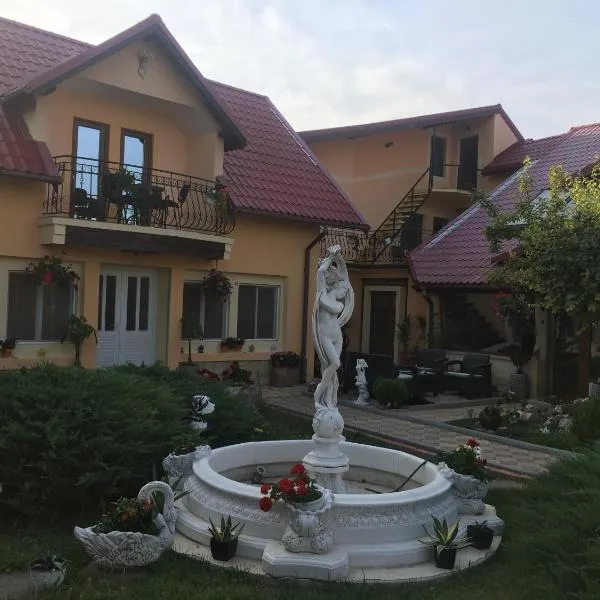 Pensiunea Darius Costinesti, hotel em Costinesti