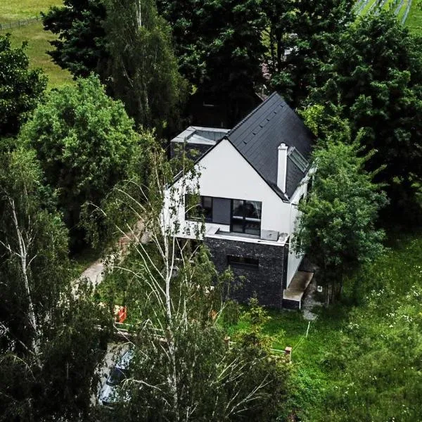 4 Seasons - House, hotel in Sub Cetate