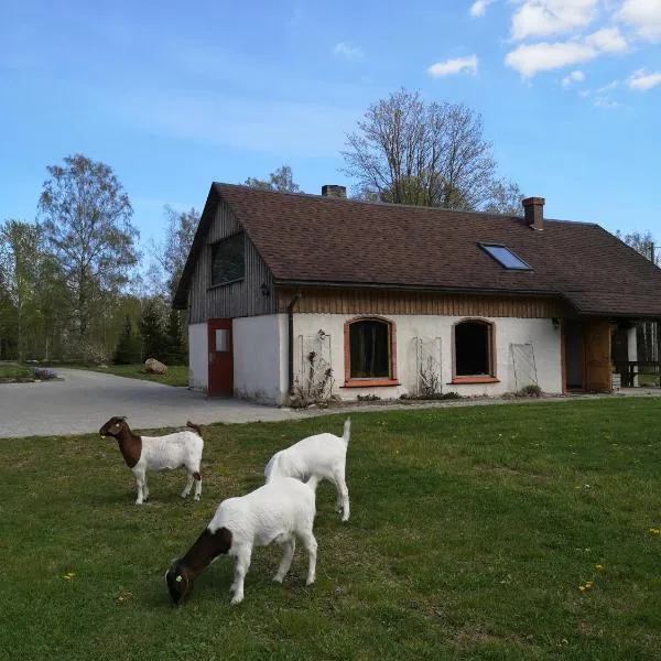 Atpūtas Vieta Raudiņi, hotel v destinaci Kaltene