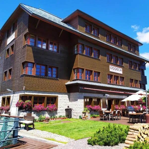 Hotel Oddech, hotel in Horní Albeřice
