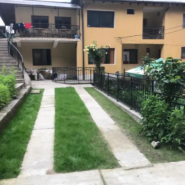 Vila Alpina Olănești, hotel v destinaci Băile Olăneşti