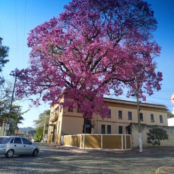 Casa Rosário Centro de Amparo - Foto 5