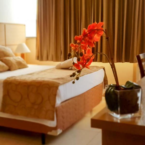 Hotel Nacional Inn São Carlos & Convenções - Foto 3