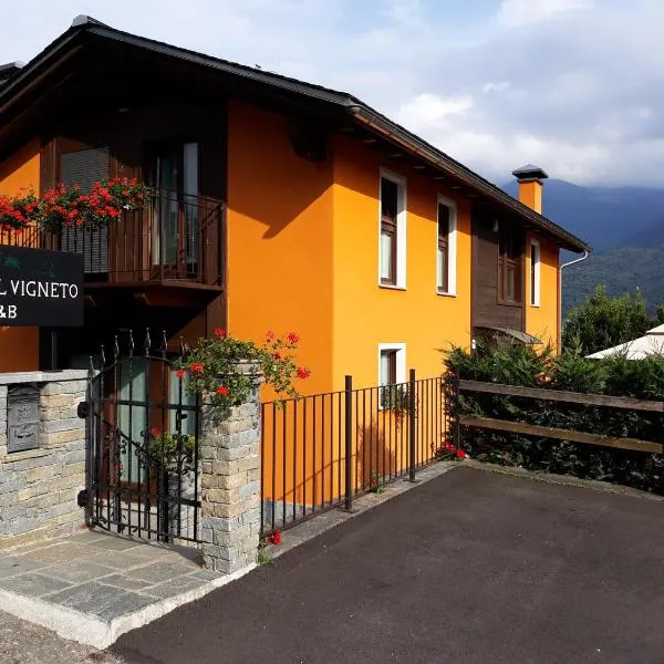 Il Vigneto, hotel en Castione Andevenno