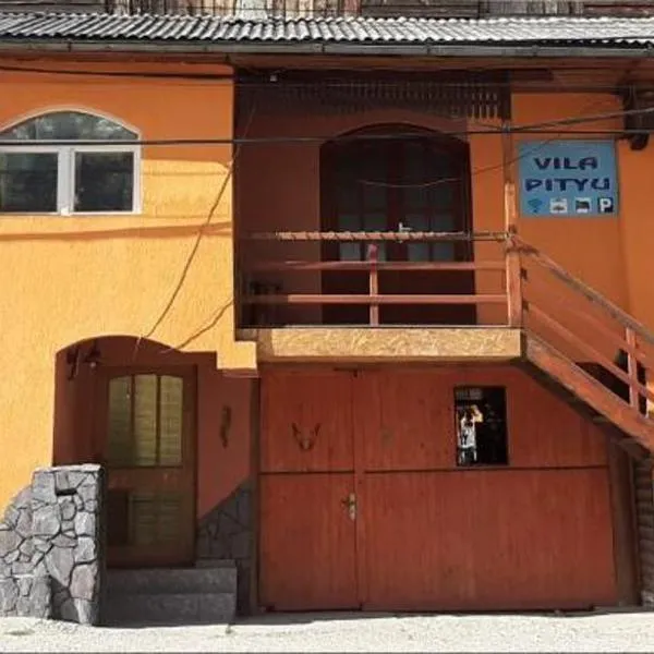 Vila Pityu, hotel en Hodoşa