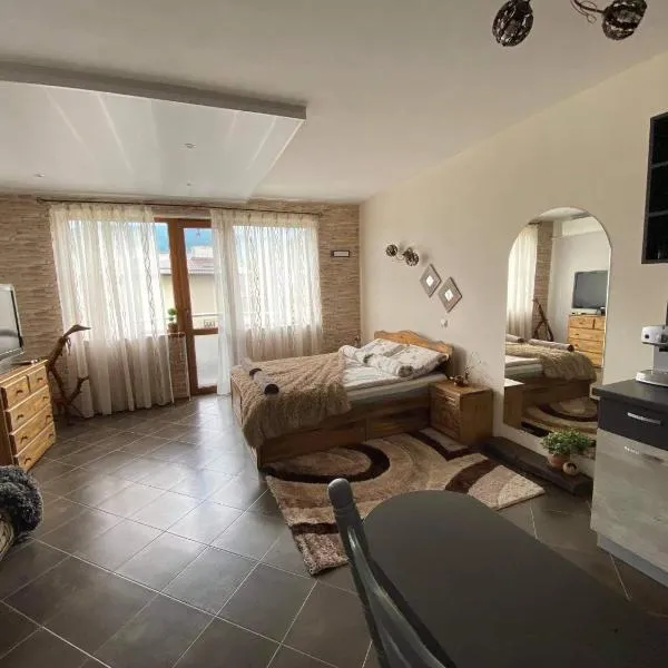 Studio Anastasia, Hotel in Saparewa Banja