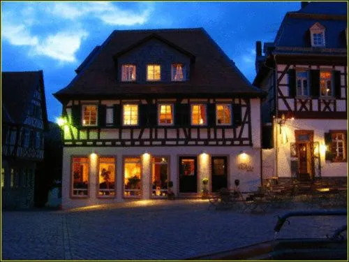 Hotel Villa Boddin, hotel v destinaci Heppenheim an der Bergstrasse