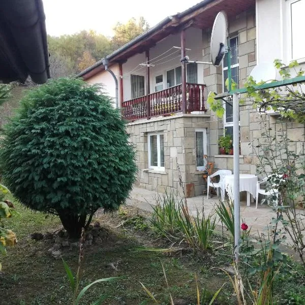 Сара, hotel din Gabrovo