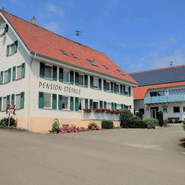 Pension Steinle, hotel v destinaci Erbach