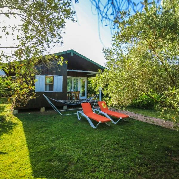 Cirali Zakkum Bungalow, hotel v destinaci Çıralı