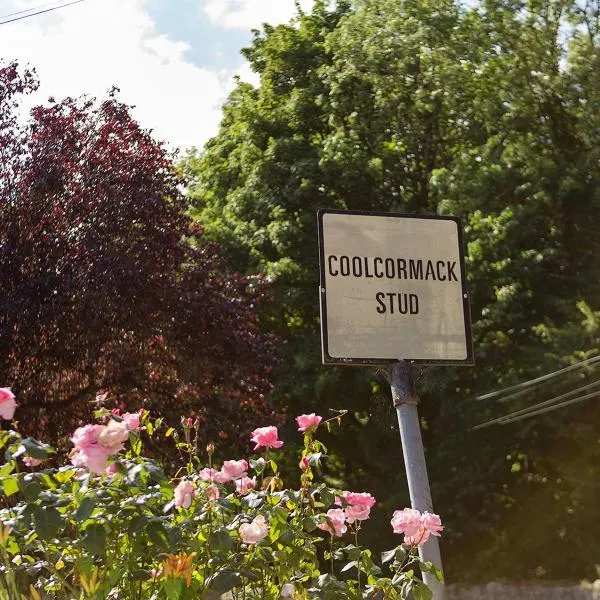 Coolcormack Stud B&B, hotelli Waterfordissa