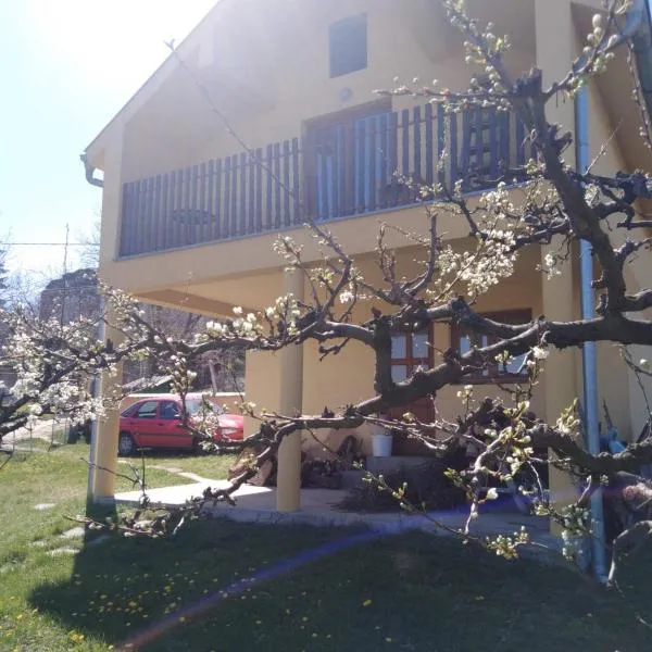 Dedinje, hotel v destinaci Jagodina