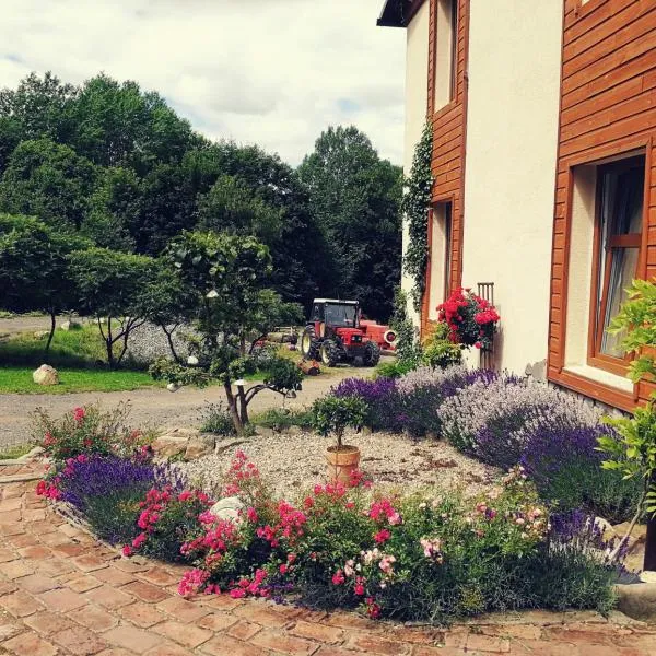 Agroturystyka " Żabi Dołek "、ドゥシュニキ・ズドルイのホテル