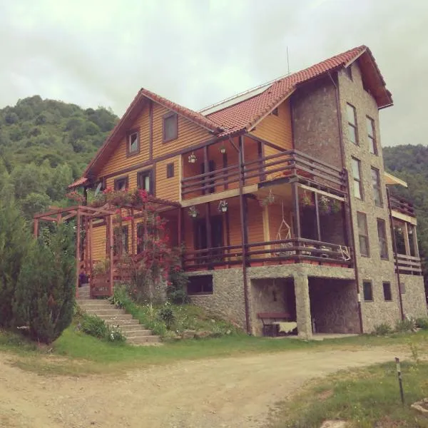 Cabana Soarelui Retezat، فندق في Nucşoara