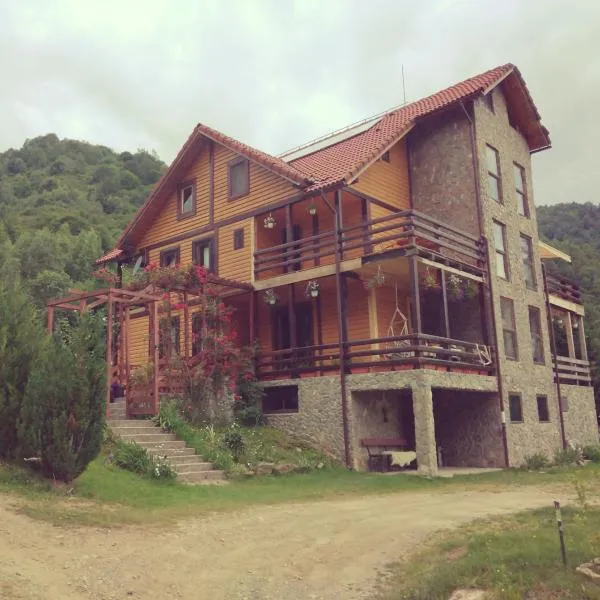 Cabana Soarelui Retezat, hotel v destinaci Nucşoara