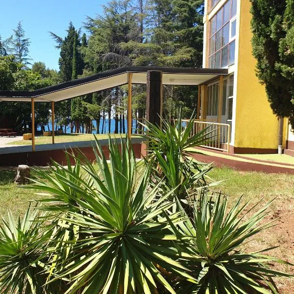 Youth Hostel Pinesta, hotel v destinaci Novigrad – Istrie