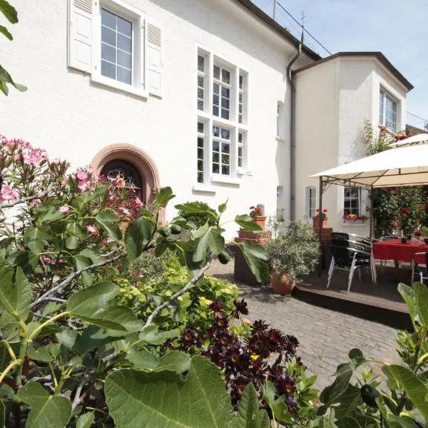 Bio-Weingut, Gästehaus und Kräuterhof, hotel in Flörsheim-Dalsheim