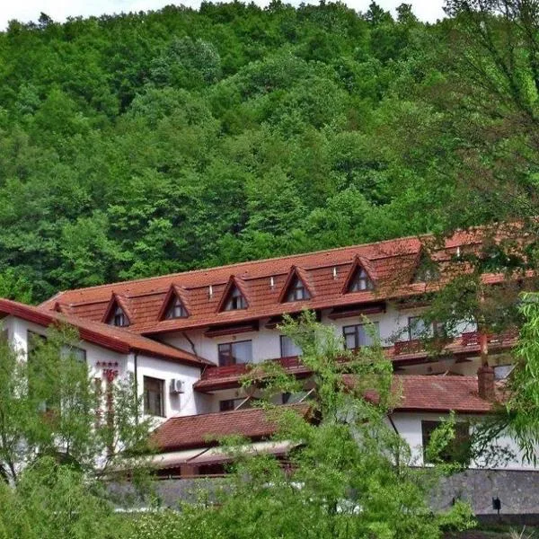 Hotel McPietroasa, hotel in Haleş