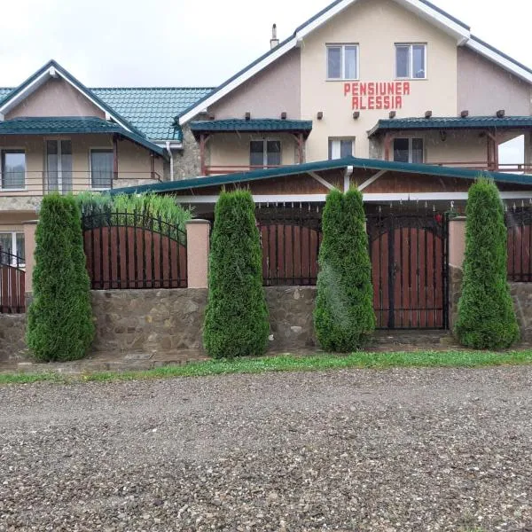 Pensiunea Alessia, hotell i Piatra Neamţ