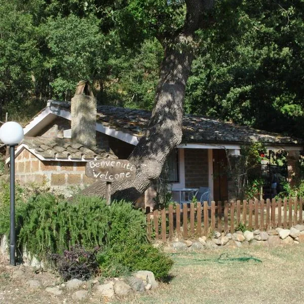 Azienda Agricola Biologica La Cardellina, hotel v destinaci Tolfa