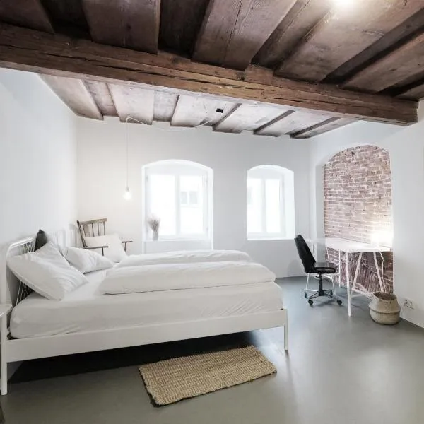 CHARMANTES APARTMENT im Herzen von Linz, hotel in Linz