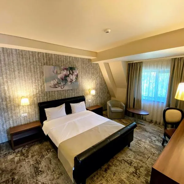 이아시에 위치한 호텔 Hotel Arnia