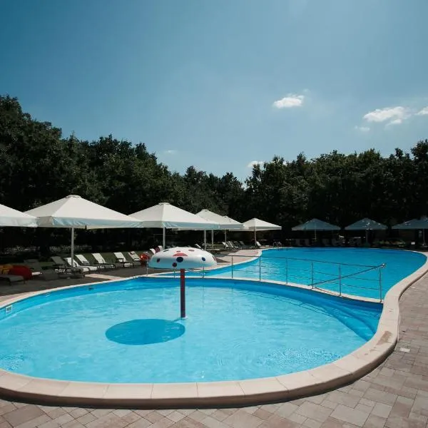 Forrest Park&Resort, ξενοδοχείο σε Vsesvyatske