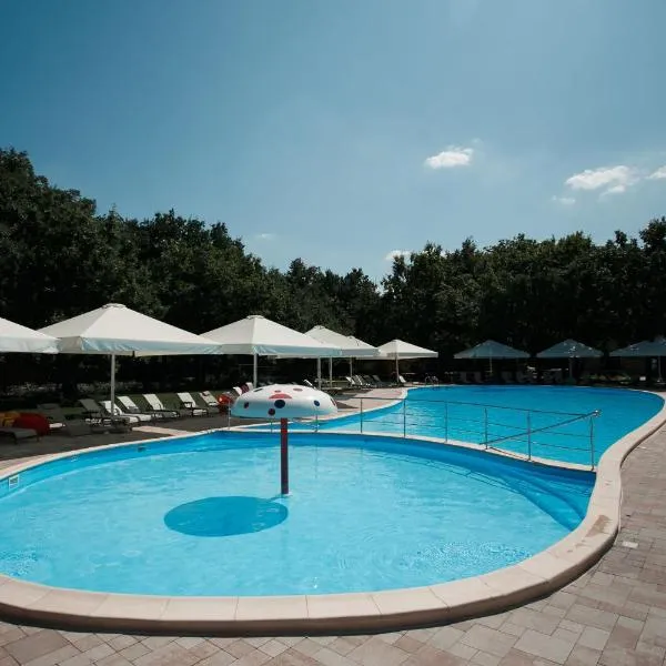 Forrest Park&Resort, hotel in Vsesvyatske