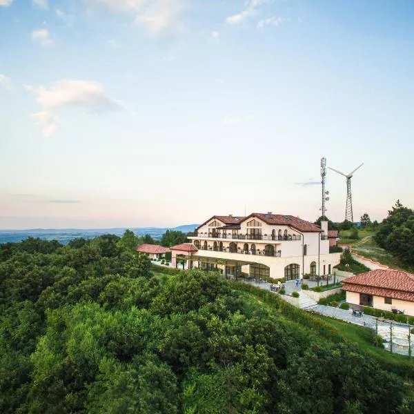 Zaara Estate Winery Hotel & SPA, hotel v destinaci Glavan