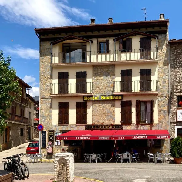 Hostal Rural Sositana, hotel in Castejón de Sos