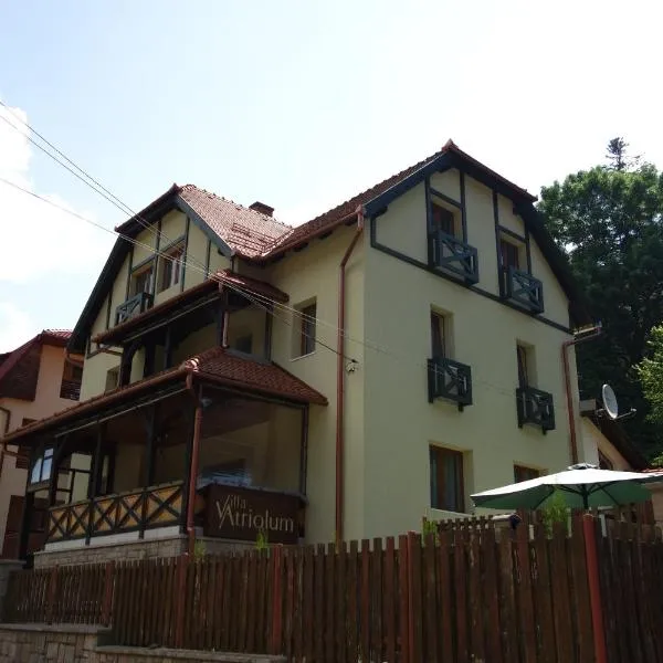 Villa Atriolum, hotel in Băile Tuşnad