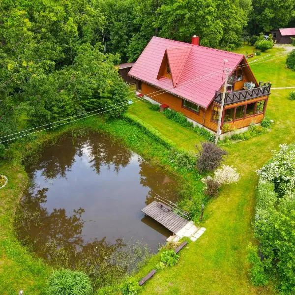 Sodyba Basapėdė, viešbutis mieste Dubingiai