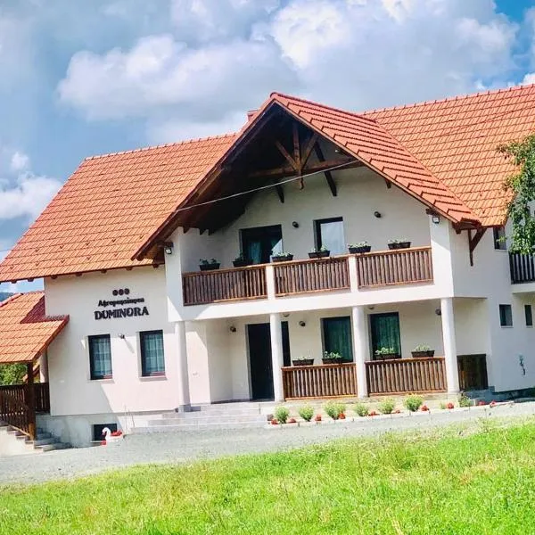 Agropensiunea Duminora, hotel in Cărpiniş