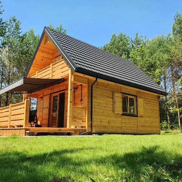 Bajka Domek na Roztoczu, hotelli kohteessa Bondyrz