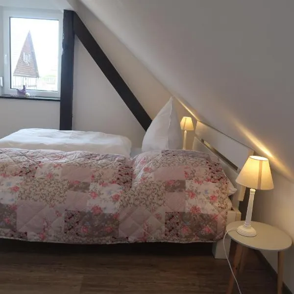 Landpension zur Hainbuche, hotel v destinaci Romrod