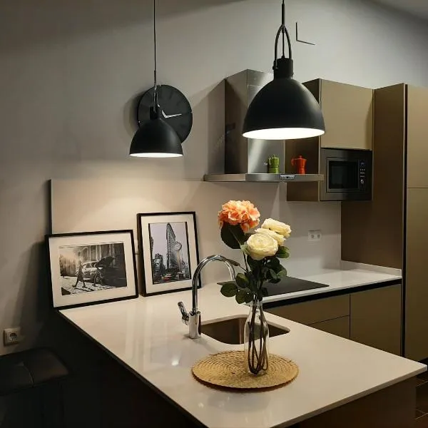 Alquiler Aptos en Santander (Centro)、サンタンデールのホテル